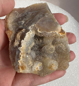 Savannah River Agate Specimen #41