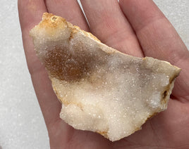 Savannah River Agate Specimen #43