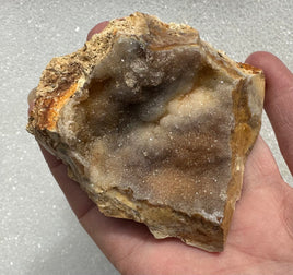 Savannah River Agate Specimen #46