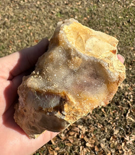 Savannah River Agate Specimen #48