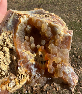 Savannah River Agate Specimen #49