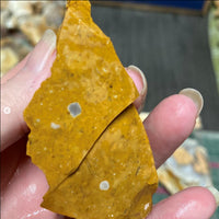 Savannah River Agate Yellow Jasper #31
