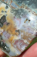 8th Vein Ocean Jasper Slab #42