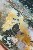 8th Vein Ocean Jasper Slab #42