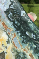 8th Vein Ocean Jasper Slab #42