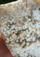 8th Vein Ocean Jasper Slab #41