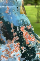 8th Vein Ocean Jasper Slab #43