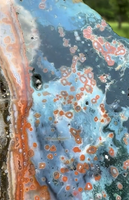 8th Vein Ocean Jasper Slab #43