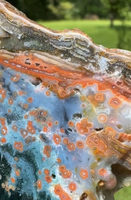 8th Vein Ocean Jasper Slab #43
