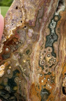 8th Vein Ocean Jasper Slab #10