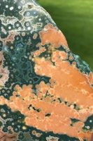 8th Vein Ocean Jasper Slab #44