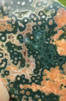 8th Vein Ocean Jasper Slab #44