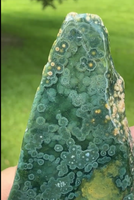 8th Vein Ocean Jasper Slab #44