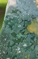 8th Vein Ocean Jasper Slab #44