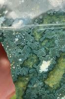 8th Vein Ocean Jasper Slab #44