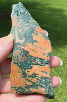 8th Vein Ocean Jasper Slab #44