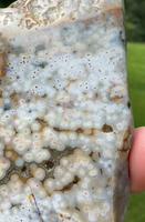 8th Vein Ocean Jasper Slab #41
