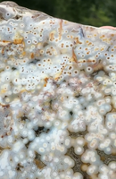 8th Vein Ocean Jasper Slab #41