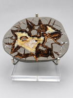 Septarian Nodule, Calcite, Muddy Creek, Orderville, Kane Co. UT UV Reactive #1