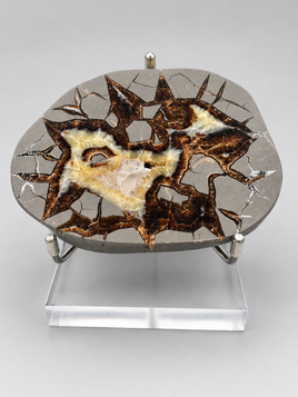 Septarian Nodule, Calcite, Muddy Creek, Orderville, Kane Co. UT UV Reactive #1
