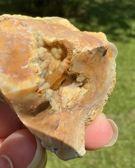 Savannah River Agate Specimen #53