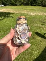 Glass Jar with Shells #6