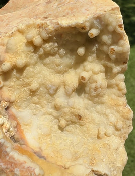 Savannah River Agate Specimen #8