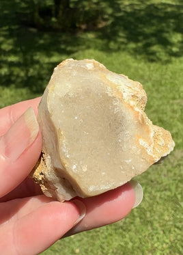 Savannah River Agate Specimen #11