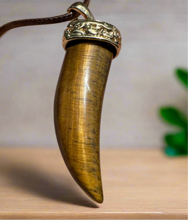 Tiger Eye Claw Necklace