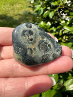 Kambaba Jasper Tumble #2