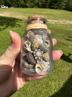 Glass Jar with Shells #4