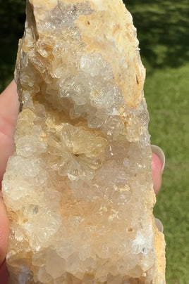 Savannah River Agate Specimen #6