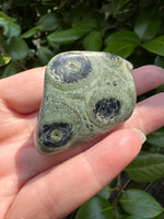 Kambaba Jasper Tumble #1