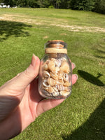 Glass Jar with Shells #5