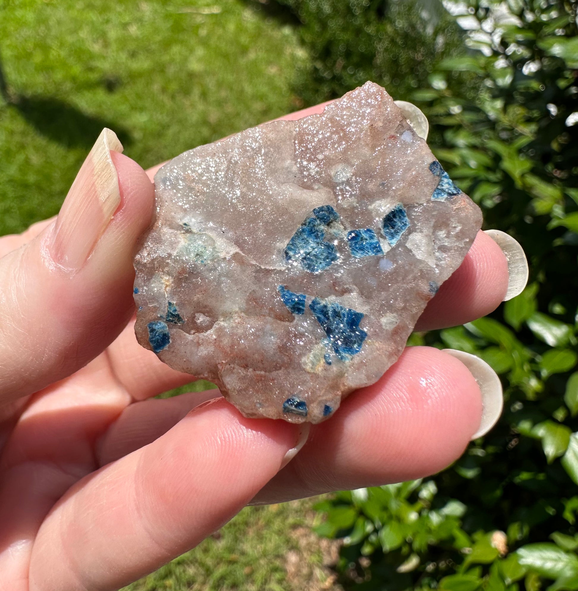 Lazulite Specimen, Graves Mountain 4 Gems & Minerals Rock Shop