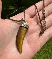 Tiger Eye Claw Necklace