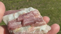 Tourmaline var Rubellite Minas Gerais, Brazil