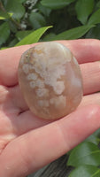 Flower Agate Palm Stone #2