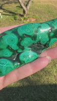 Polished Malachite Freeform, Zaire, Africa #6