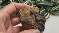 Azurite Specimen Sierra Rica Chihuahua, Mexico #1