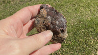Andradite Garnet Specimen, Zacatecas, Mexico #9