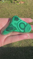 Polished Malachite Freeform Zaire, Africa #7