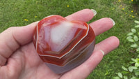 Carnelian Heart Palm Stone #11