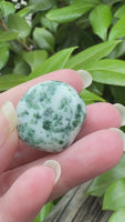 Tree Agate Tumble