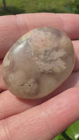 Flower Agate Palm Stone #1