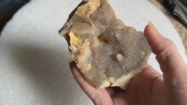 Savannah River Agate Specimen #35