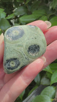 Kambaba Jasper Tumble #1
