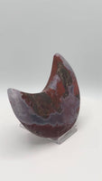 Money Agate Carved Moon #1