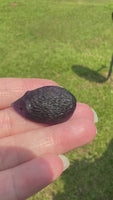 Hedgehog Hand-Carved Rainbow Fluorite #1