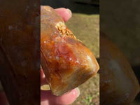 Savannah River Agate Specimen 1d